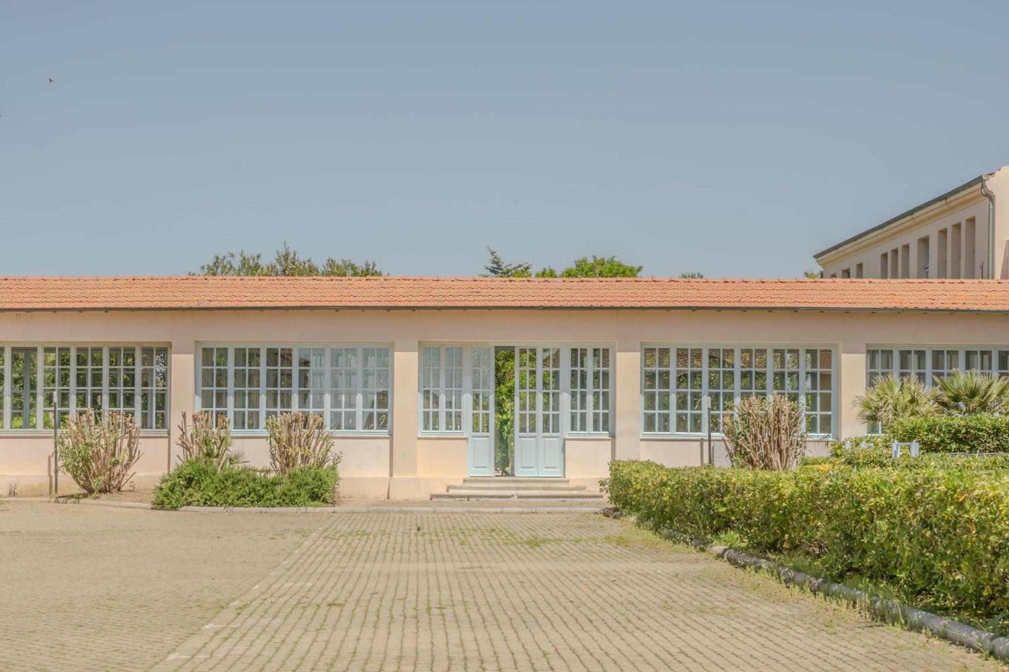 Appartamento Principi Di Piemonte Tirrenia Esterno foto